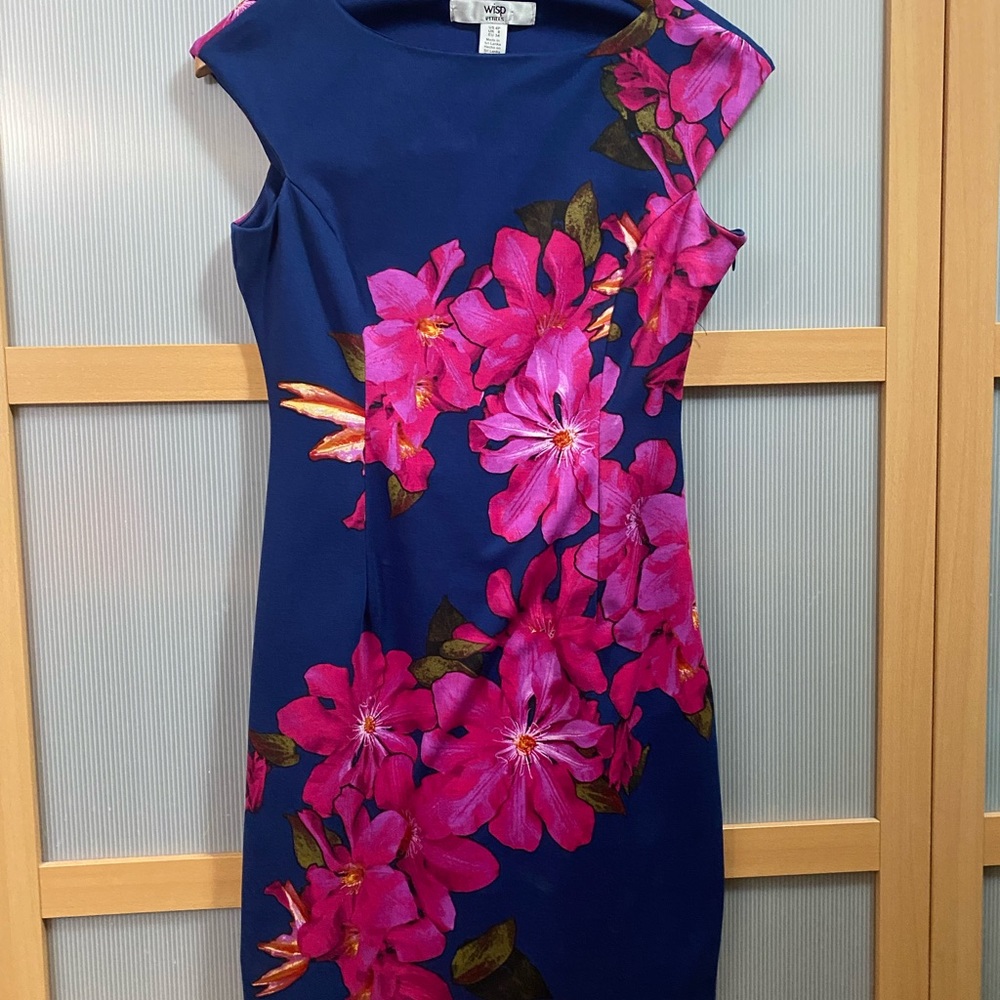 cute fitted (WISP) dress 4P